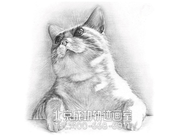 初學素描入門基礎(chǔ)