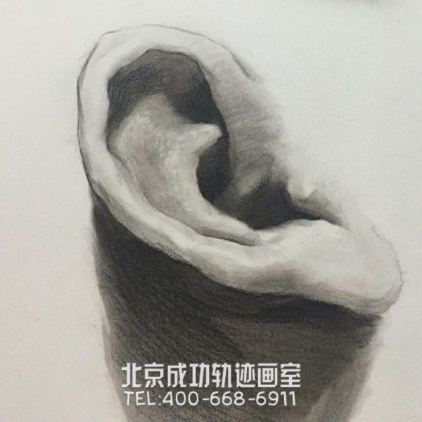 素描耳朵的畫(huà)法圖解