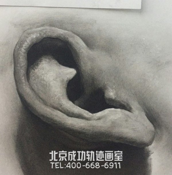 素描耳朵的畫(huà)法圖解