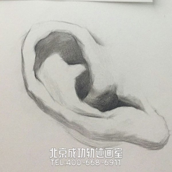 素描耳朵的畫(huà)法圖解