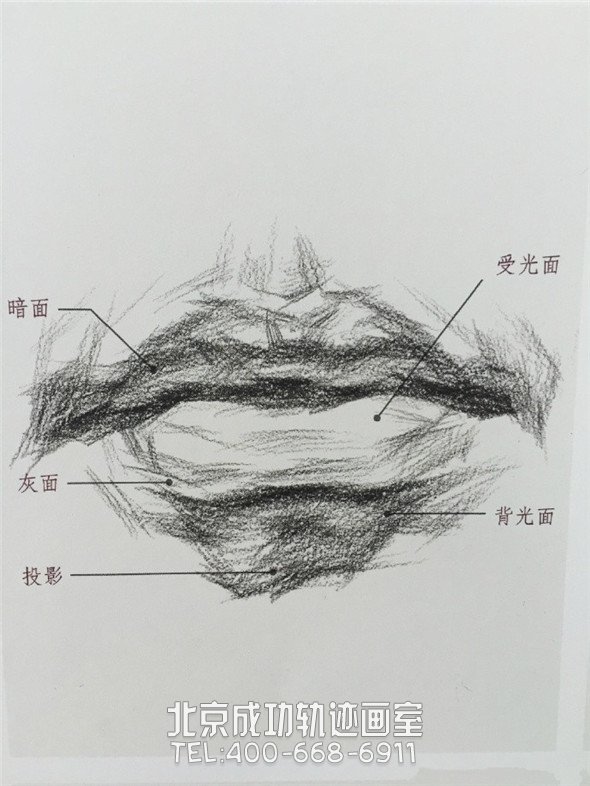 素描入門：眼睛鼻子嘴巴的素描精講解析教程