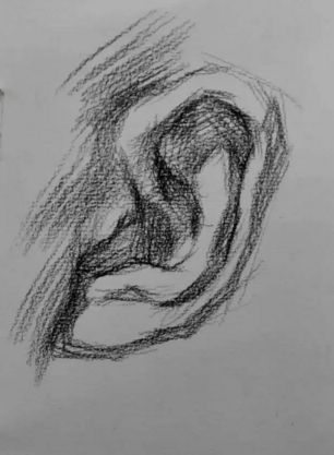 素描耳朵的畫(huà)法步驟圖