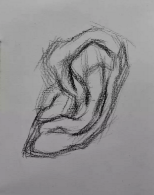 素描耳朵的畫(huà)法步驟圖